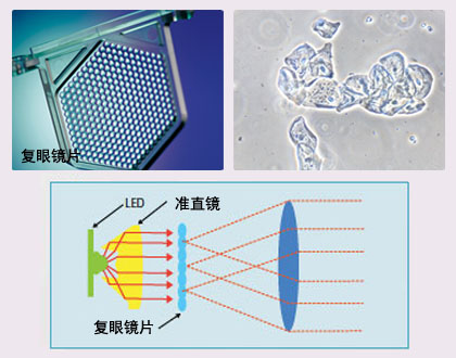 E100 强大的LED环保照明.jpg