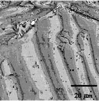 magdomains magdomains