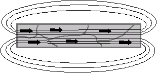 MagDomains MagDomains