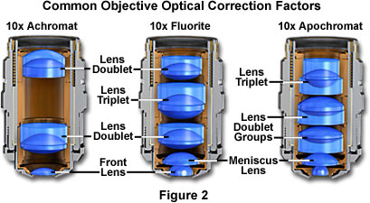 objectivesfigure2