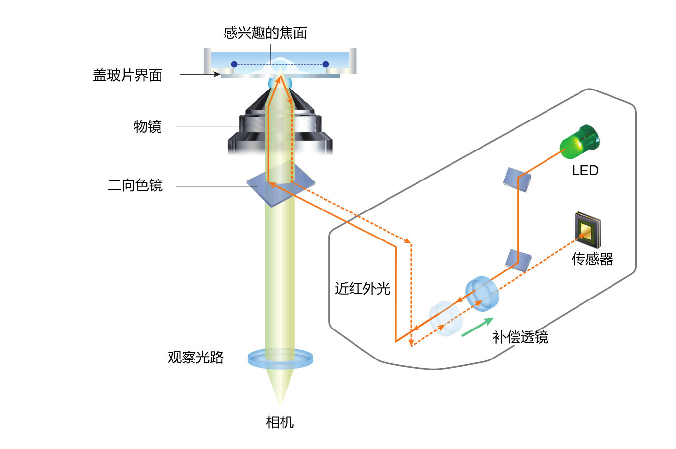 简单完美（Ti2-E）