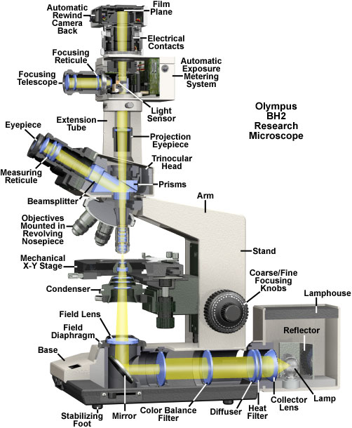 bh2cutaway.jpg