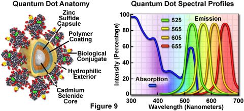 量子点解剖和光谱图