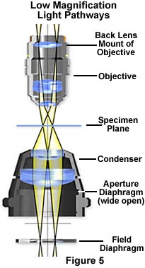 lowmagpaths