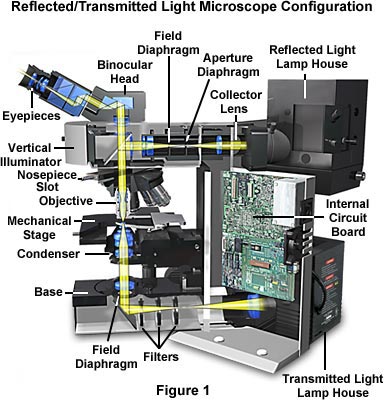 反射/透射光显微镜结构