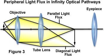 cfi60 figure3