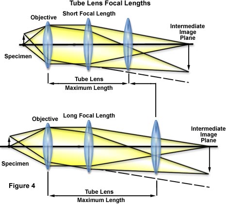 cfi60 figure4