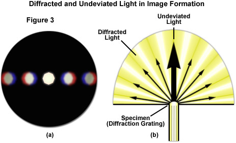 imageformationfigure3