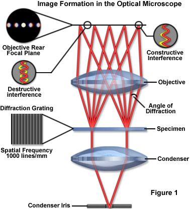 imageformationfigure1