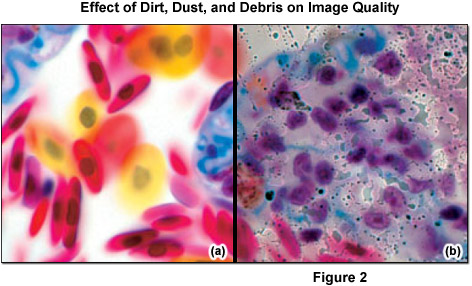 microscopecarefigure2