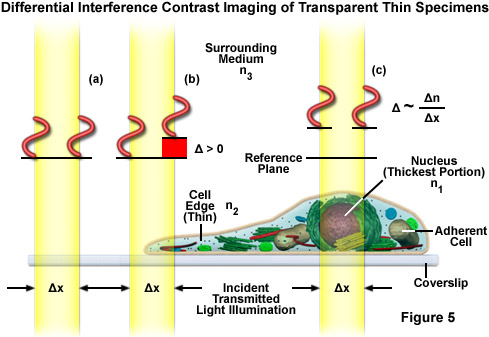 contrastfigure5