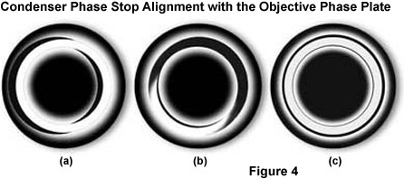 contrastfigure4