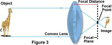 convexlens2