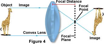 convexlens3