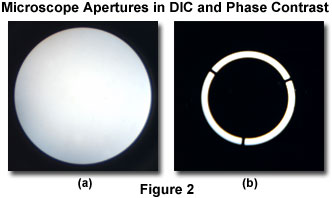 DIC΢