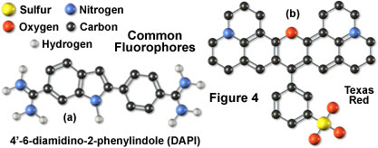 fluorooverviewfigure