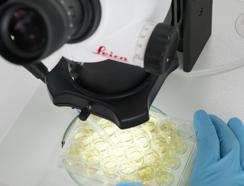 用于生命科学研究 Leica S9体视显微镜