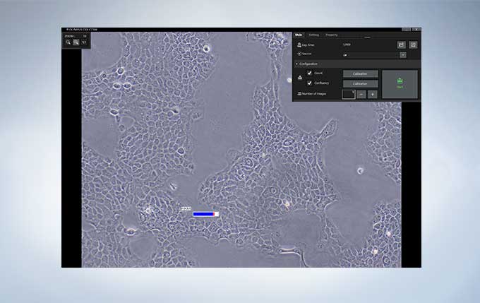 利用定量分析提高细胞培养过程的质量