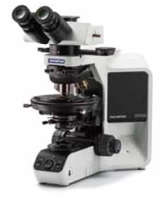 奥林巴斯偏光显微镜BX53M