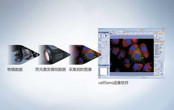 奧林巴斯cellSens軟件