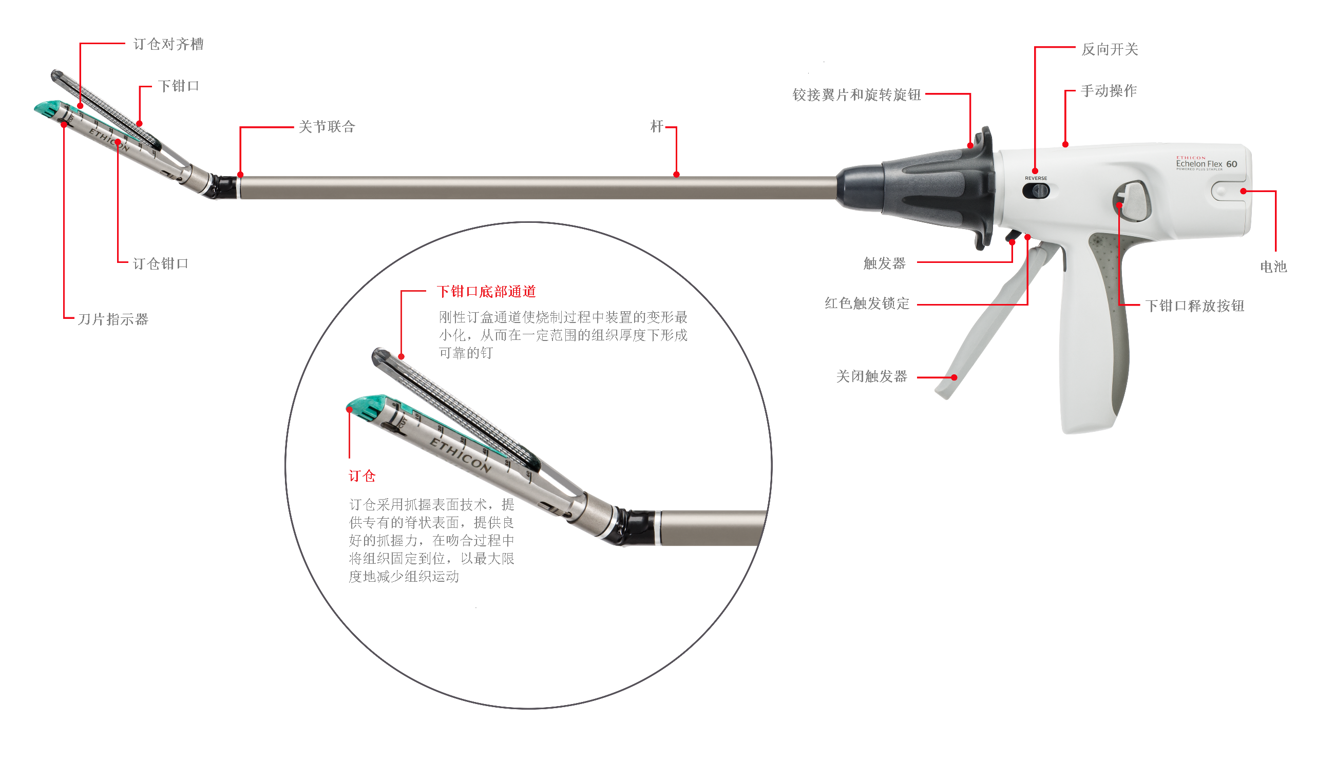 ECHELON FLEX GST