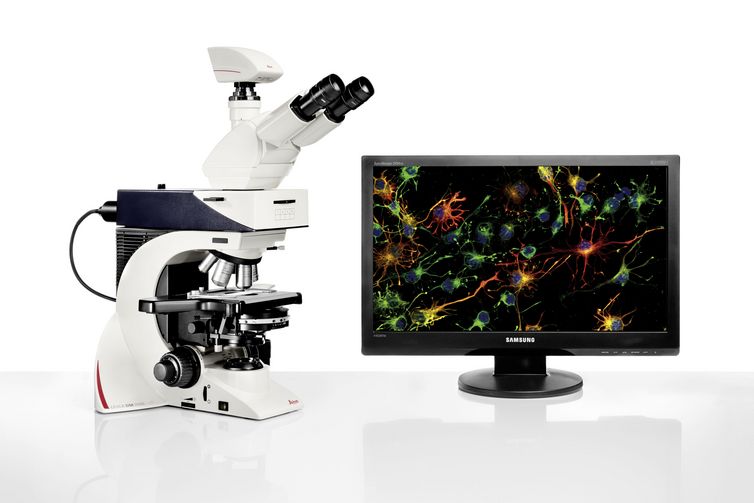 dm2500荧光显微镜
