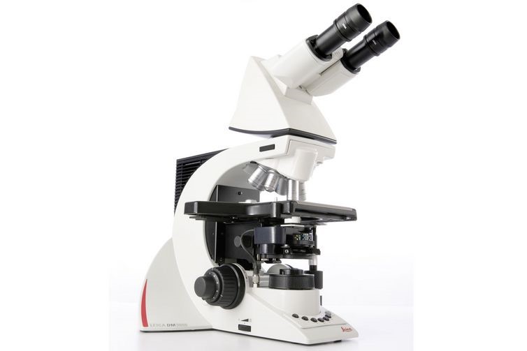 DM3000光学显微镜