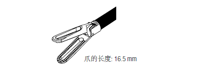 ǯڳ16.5mm