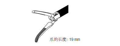 ǯڳ19mm