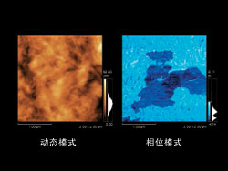 高分子薄膜