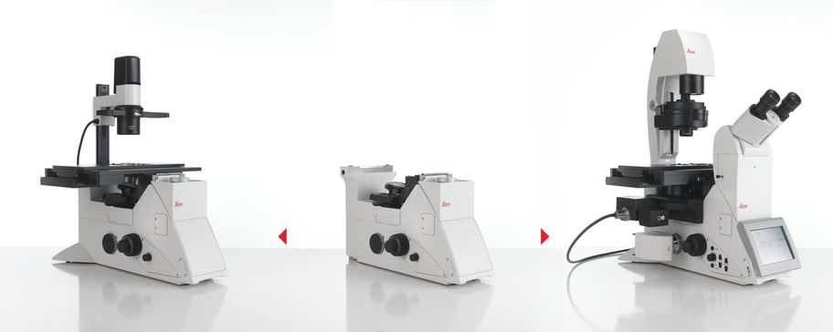 Leica DMi8ԸоԱ