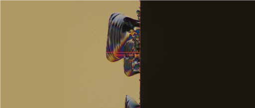 微分干涉（DIC）图像（2500X），碎片边缘清晰可见
