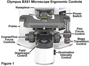 BX51