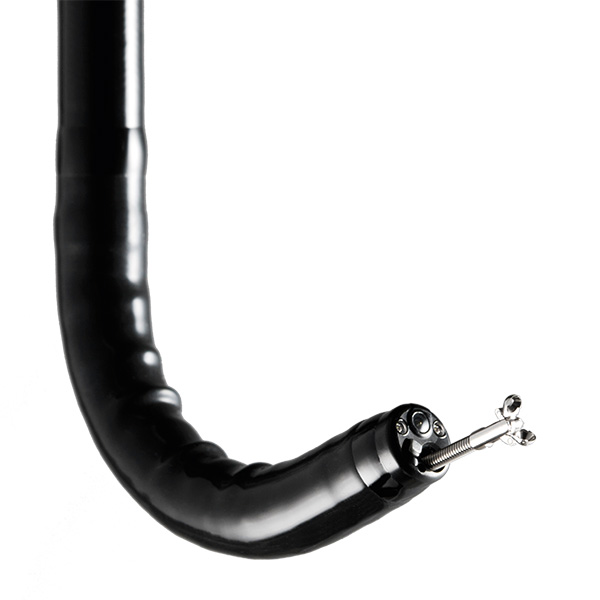 EG-600WR上消化道内窥镜