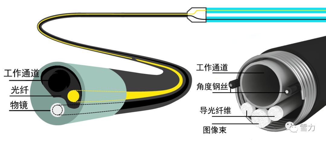 纤维软镜内部结构是光学系统，传导的是物理图像