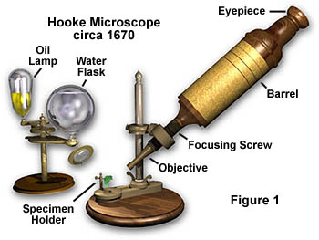 显微镜解析，简单介绍显微镜的发展过程