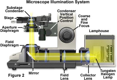 什么是显微镜柯勒照明系统