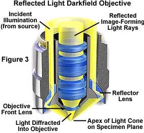 奥林巴斯显微镜反射暗场照明的结构
