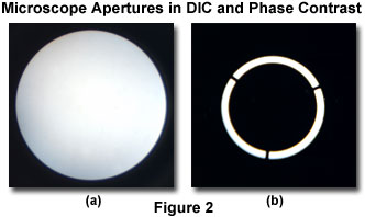 奥林巴斯显微镜DIC和相差的区别