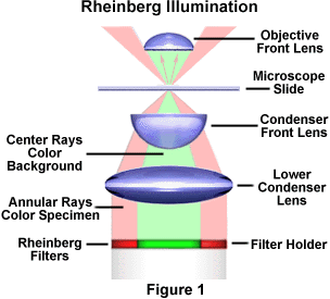 奥林巴斯显微镜莱茵伯格照明系统的结构