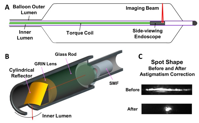内窥镜光学相干断层扫描：技术和临床应用