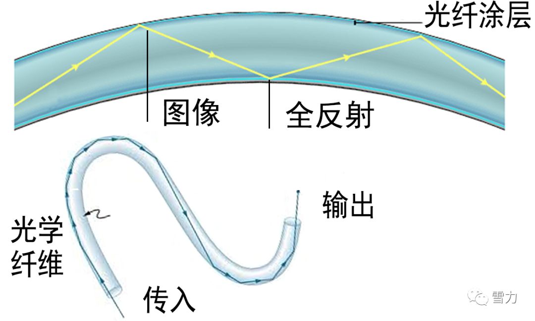 软管式内窥镜的结构图