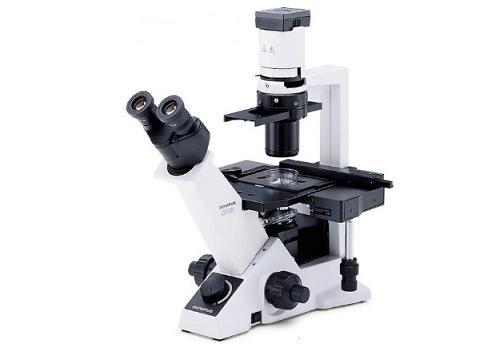 奥林巴斯临床级倒置显微镜CKX31