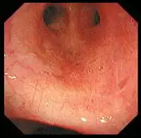 �߷ֱ���֧���ܾ�ͼ��