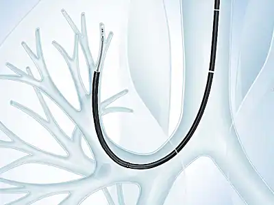 BF-P290�����׽�����Ҷ֧����