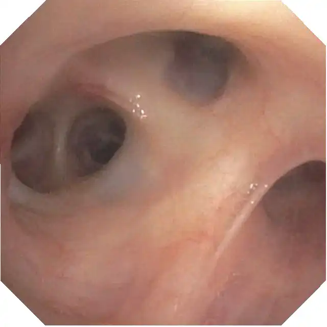 ����ͼ������