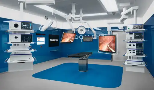 ENDOALPHA �C 3D �� 4K OR ����