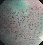 խ������