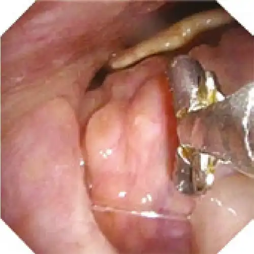 ����ͼ��