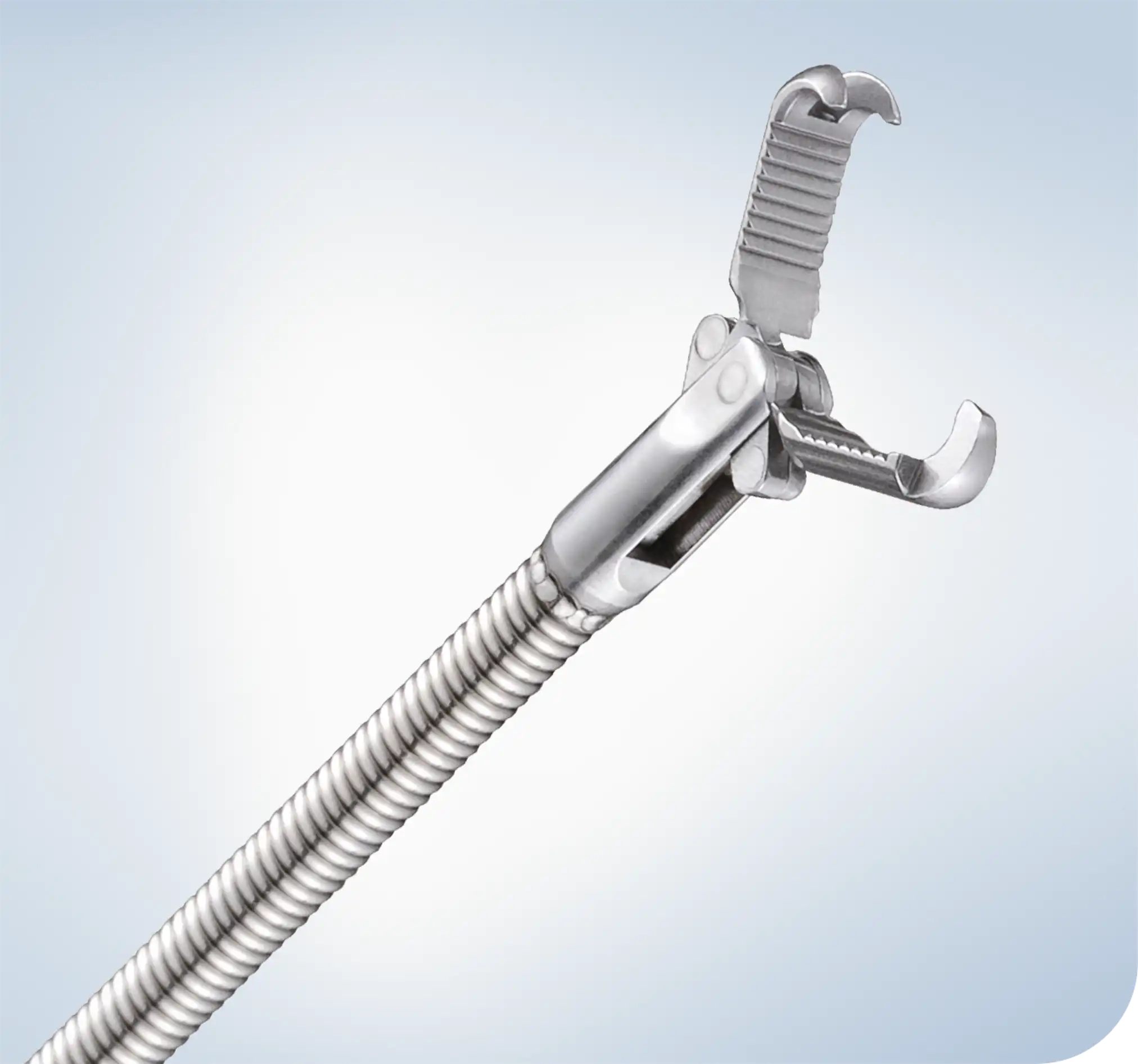 FG-244NR